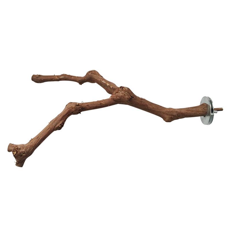 Add a Parrot Cage Stand Pole for Enhanced Bird Cage Comfort