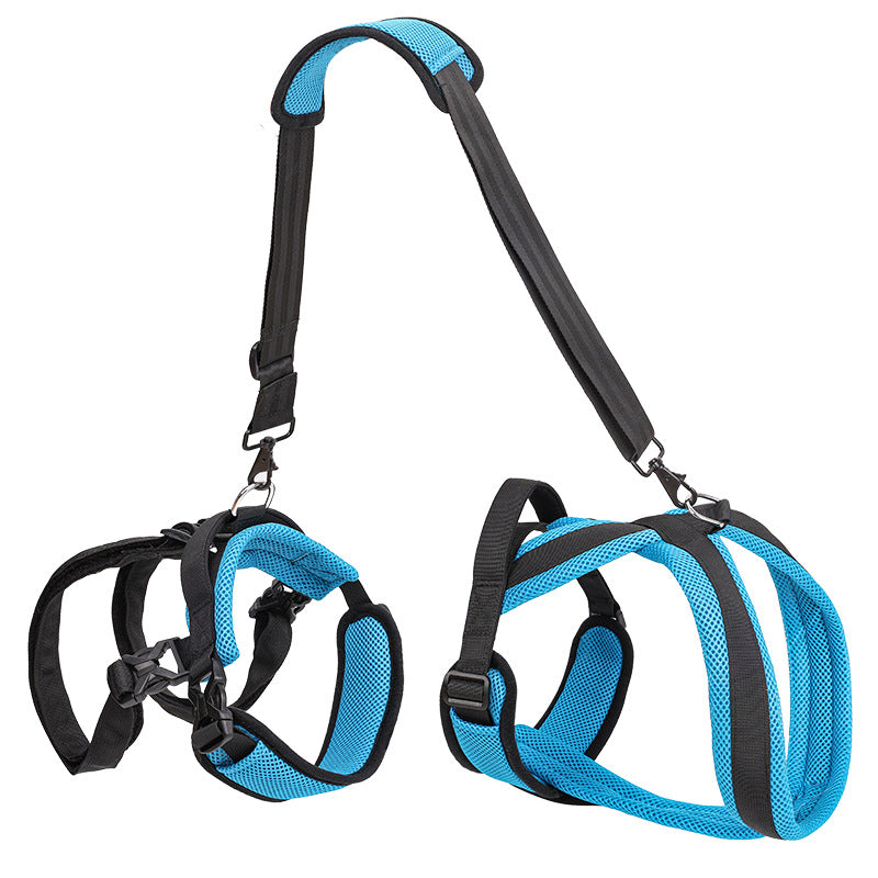 Pet Supplies Dog Auxiliary Strap for Safe and Comfortable Walks